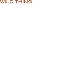 WILD THING

FEATURES:
• 56’ Round Tube
• Quick Tow Release
• Padded Handles with 840 Denier Nylon
• Thick 30 Guage PVC
• Boston Valve

CARACTÉRISTIQUES:
• Enveloppe de Nylon Denier 840 super-résistant
• Epais tube intérieur, Calibre 30 PVC 
• Poignée rembourrer
• Boston Valve

• Orange / White / Black